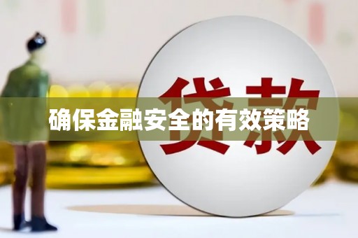 隆子确保金融安全的有效策略