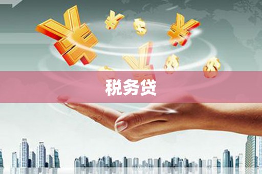 隆子税务贷