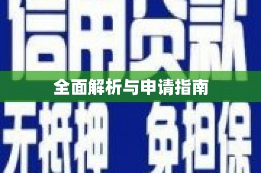 隆子全面解析与申请指南
