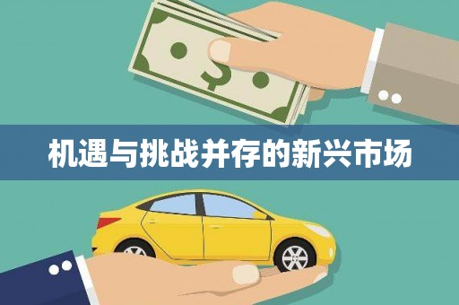 隆子机遇与挑战并存的新兴市场