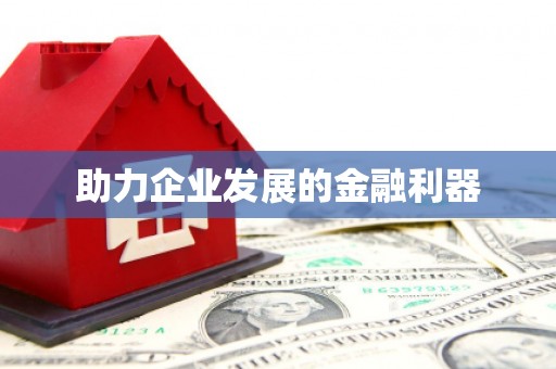 隆子助力企业发展的金融利器