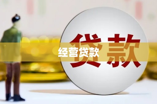 隆子经营贷款