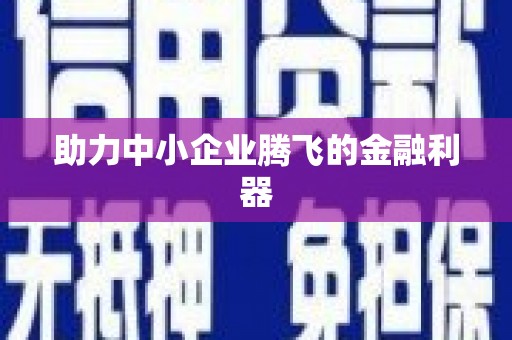 隆子助力中小企业腾飞的金融利器