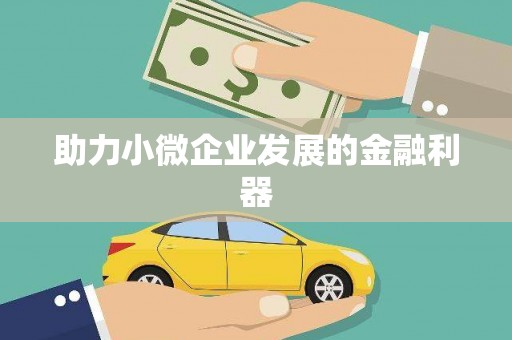 隆子助力小微企业发展的金融利器