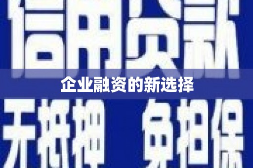 隆子企业融资的新选择