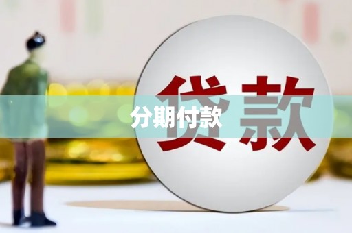 隆子分期付款