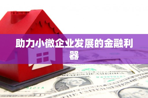 隆子助力小微企业发展的金融利器
