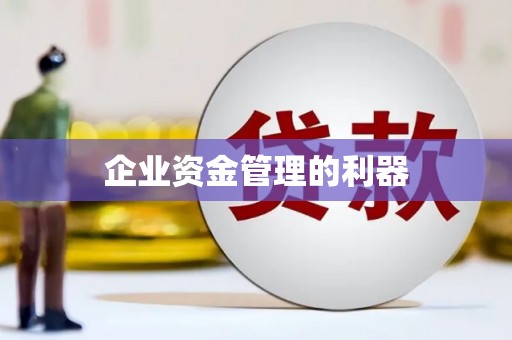 隆子企业资金管理的利器