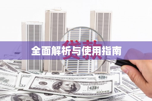 隆子全面解析与使用指南
