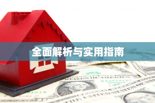 隆子全面解析与实用指南