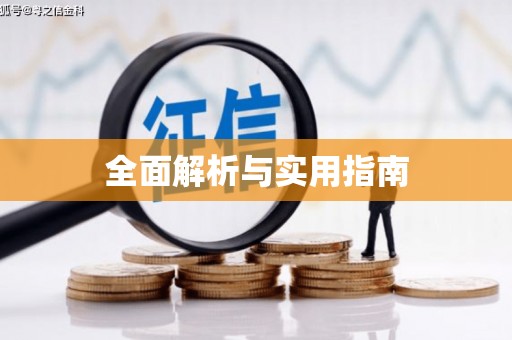 隆子全面解析与实用指南