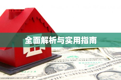 隆子全面解析与实用指南