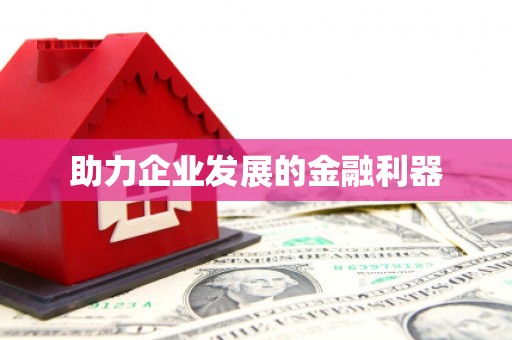 隆子助力企业发展的金融利器