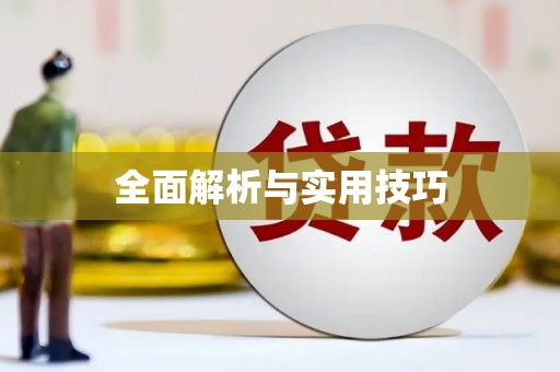 隆子全面解析与实用技巧