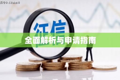 隆子全面解析与申请指南