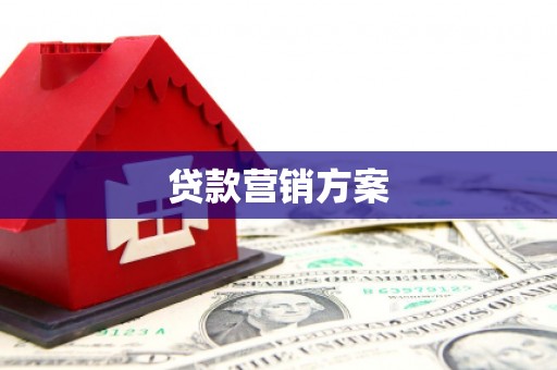 隆子贷款营销方案