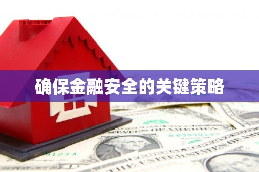 隆子确保金融安全的关键策略