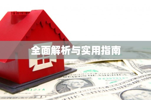隆子全面解析与实用指南
