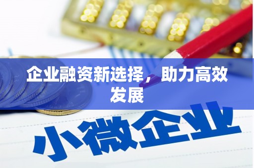 隆子企业融资新选择，助力高效发展