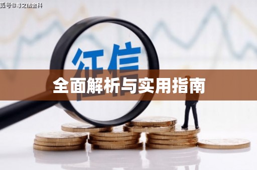 隆子全面解析与实用指南