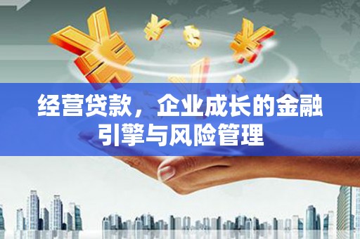 隆子经营贷款，企业成长的金融引擎与风险管理