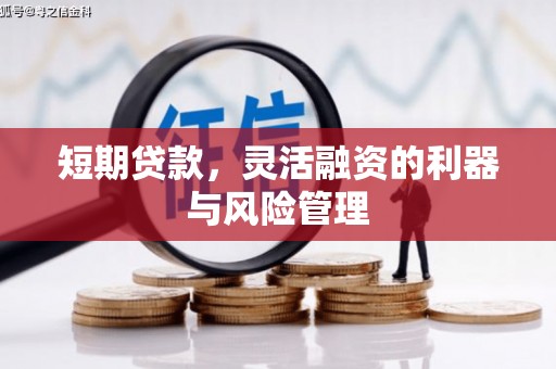 隆子短期贷款，灵活融资的利器与风险管理
