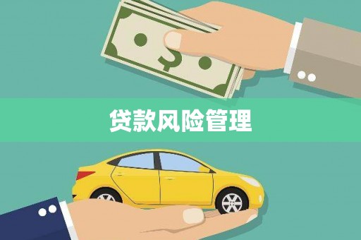 隆子贷款风险管理