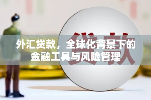 隆子外汇贷款，全球化背景下的金融工具与风险管理
