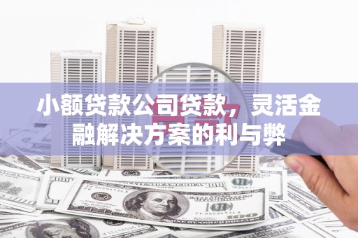 隆子小额贷款公司贷款，灵活金融解决方案的利与弊