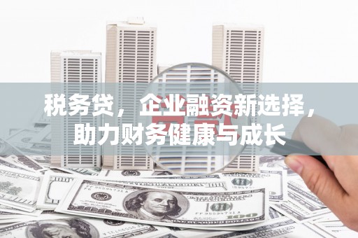 隆子税务贷，企业融资新选择，助力财务健康与成长