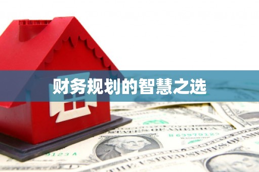 隆子财务规划的智慧之选