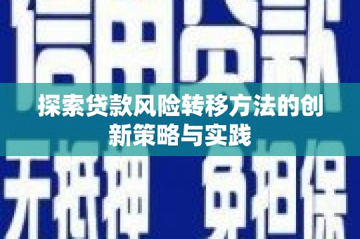 隆子探索贷款风险转移方法的创新策略与实践