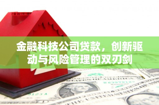 隆子金融科技公司贷款，创新驱动与风险管理的双刃剑