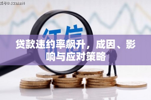 隆子贷款违约率飙升，成因、影响与应对策略