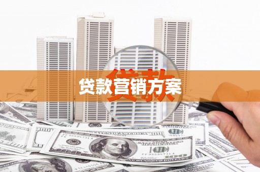隆子贷款营销方案